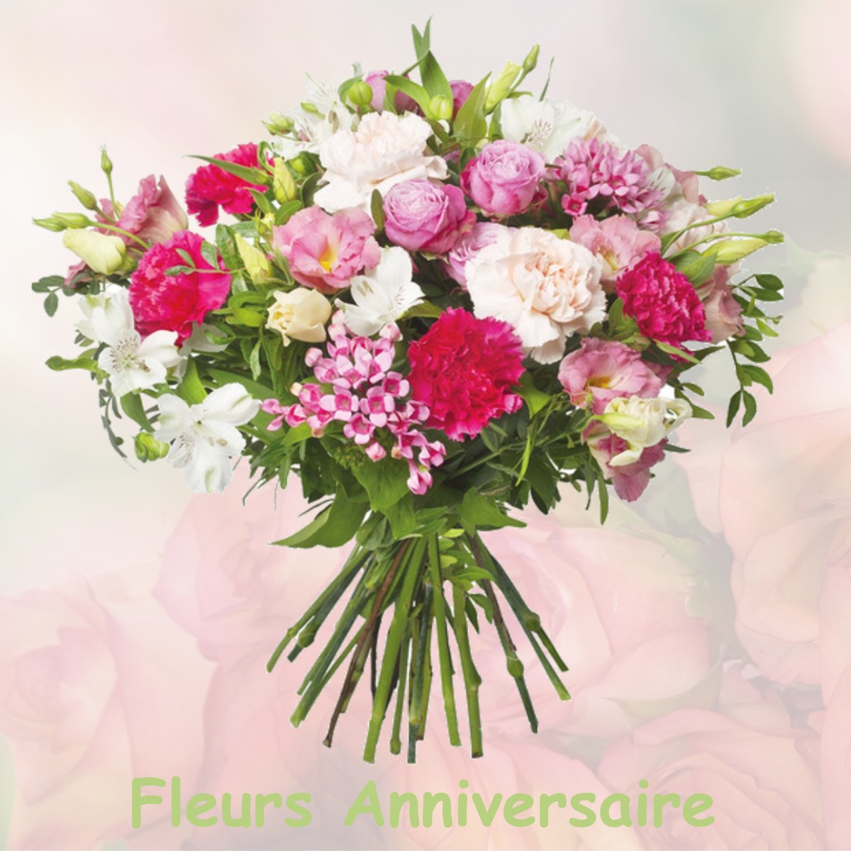 fleurs anniversaire VILLE-SAVOYE